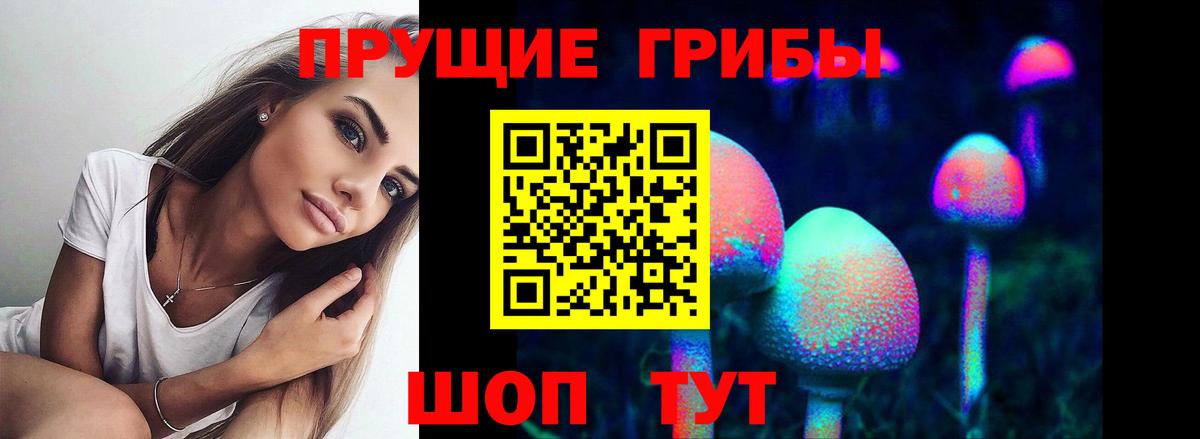 Псилоцибиновые грибы GOLDEN TEACHER  Галлюциногенные грибы ЛСД  Борзя  Вход с VPN 