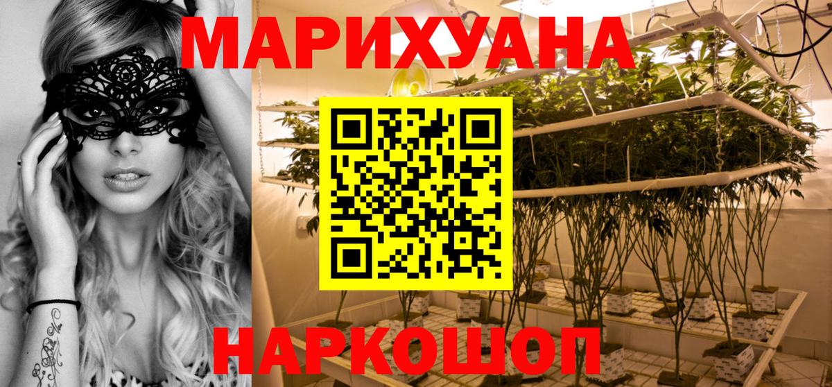 Каннабис планчик Борзя